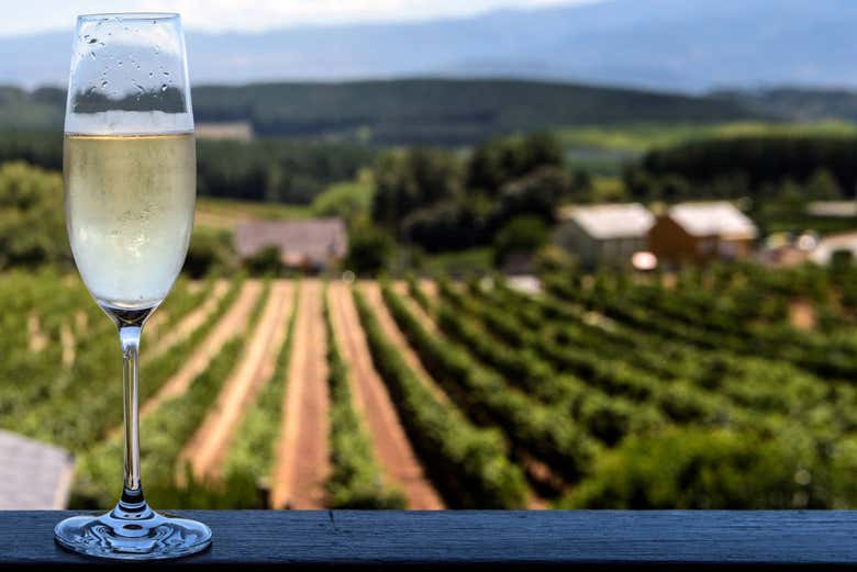 Taça de cava 