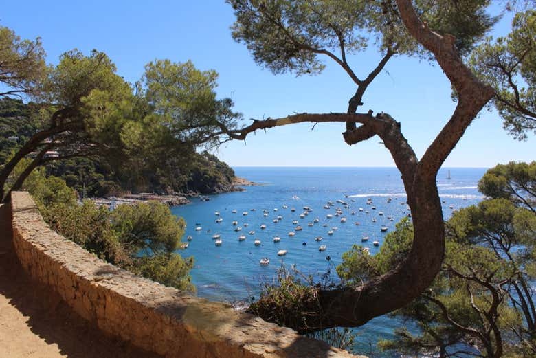 Vistas do Caminho de Ronda