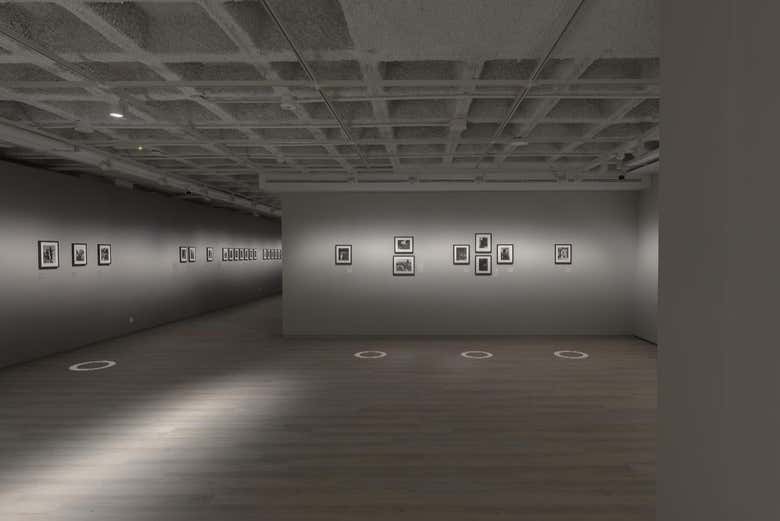Percorrendo as salas de exposições