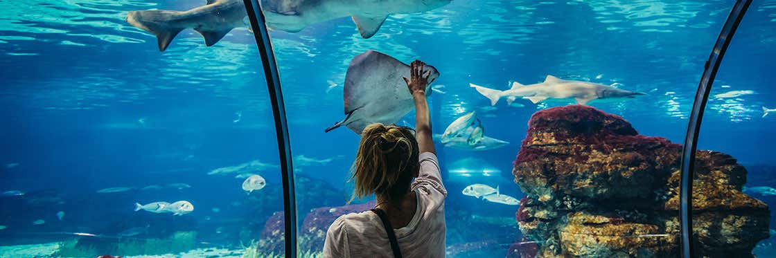 Aquarium de Barcelona